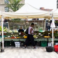 Copley Square Farmers Market thumbnail