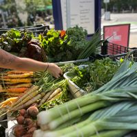 Kendall Square Farmers Market thumbnail
