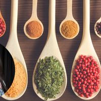 Ayurveda in Practice: Community Conversation & Integration with Kaveri Barros  thumbnail