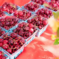 East Boston Farmers Market 2026 thumbnail