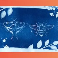 Advanced Cyanotype Printing and Toning! thumbnail