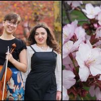 Cherry Blossoms in Bloom: Music Inspired by Nature thumbnail