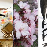 Cherry Blossom Celebration thumbnail