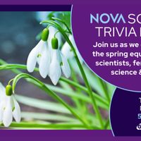 NOVA Science Trivia Night thumbnail