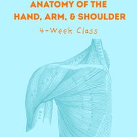 Anatomy of the Hand, Arm, & Shoulder: 4-Week Class thumbnail