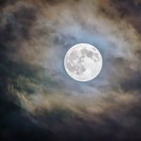  Landmarks & Landscapes: Full Moon Walk thumbnail