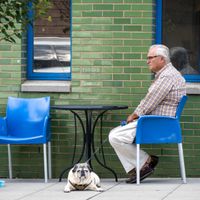 Opening Reception: Animals Amongst Us by Magnus Snorrason thumbnail