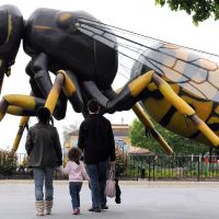 A Bug’s World Sensory-friendly Mornings thumbnail