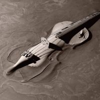 Artist Talk with Patty Rosenblatt: Hands to Earth: A Visual, Verbal, and Experiential Creation thumbnail