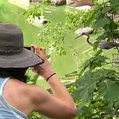 Expressive arts workshop thumbnail