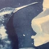 Cyanotype Workshop thumbnail