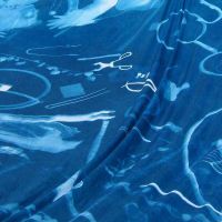 Creative Foundations: Cyanotypes thumbnail