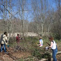 Statewide Volunteer Day at the Boston Nature Center thumbnail