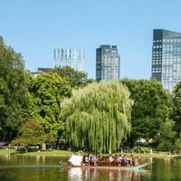 An Afternoon of Drawing in the Public Garden with Veronica Lawlor thumbnail