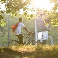 Bike and Bird thumbnail