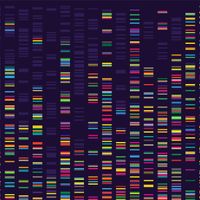 Whose Genes? What Genes Can (and Can’t) Explain About Life thumbnail
