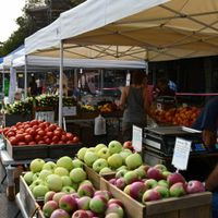 22nd Annual Union Square Farmers Market thumbnail