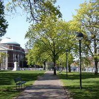 let's go for a stroll thumbnail