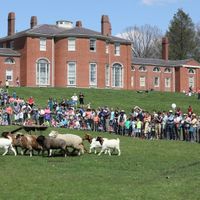 Gore Place Sheepshearing Festival thumbnail