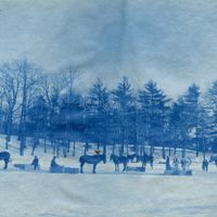 Walking Tour of Jamaica Pond thumbnail