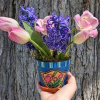 Celebrate Mother’s Day with a creative twist!  thumbnail