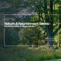 Mindfulness Walk at Mount Auburn thumbnail