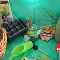 Gardening in the City thumbnail