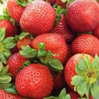 Splendid Strawberries – Adult Cooking Class thumbnail
