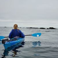 Lighthouse Coastal Island Kayak Tour thumbnail
