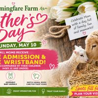 Mother’s Day at Charmingfare Farm thumbnail