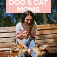 Free Jamies Ice Cream For Dog and Cat Moms thumbnail