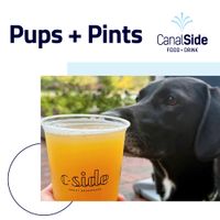 Pups + Pints at CambridgeSide thumbnail