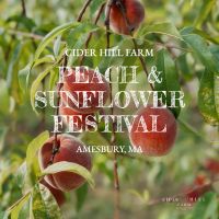  Peach & Sunflower Festival - August 8-9 & 15-16 thumbnail