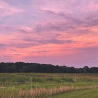 Thursday Summer Sunsets at Powisset Farm thumbnail