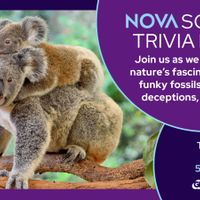 NOVA Science Trivia Night thumbnail