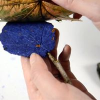 The Land Tells Our Stories Artist Workshop: Pulp Cast Leaves with May Babcock thumbnail
