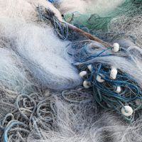 The Land Tells Our Stories Artist Workshop: "Ghost Gear” Sculptures with Posey Moulton thumbnail