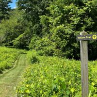 Landmarks & Landscapes: Nature Journaling Workshop thumbnail