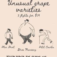 Unusual Grape Varieties at the Social Club at Bonde Fine Wine Shop thumbnail