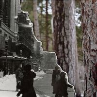 Photosynthesis XXI thumbnail
