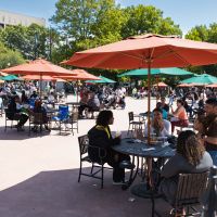 15th Annual Worcester Food Truck & Craft Beverage Festival thumbnail