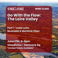 Go With the Flow: The Loire Valley (Part 1 - Wine Class) thumbnail