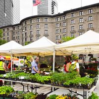 Market to Table at OAK thumbnail