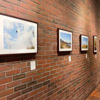 Boston Urban Wilds: Celebrating 50 Years of Conservation and Community by Lisa McCarty thumbnail