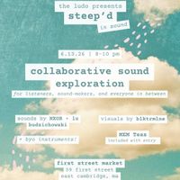 Steep'd (in Sound): Collaborative Sound Experience thumbnail