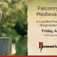 Falconry & the Medieval World: A Live Bird Presentation thumbnail