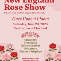 New England Rose Show: Once Upon a Bloom thumbnail