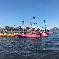 Welcome Summer: Sunrise Paddle on the Charles thumbnail