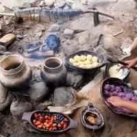 Special Event: Strawberry Thanksgiving at Plimoth Patuxet Museums | Transportation Included thumbnail
