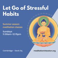 Let Go of Stressful Habits: Sunday 11am meditation class thumbnail